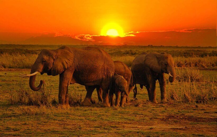 Exploring Craters and Lakes in Tanzania