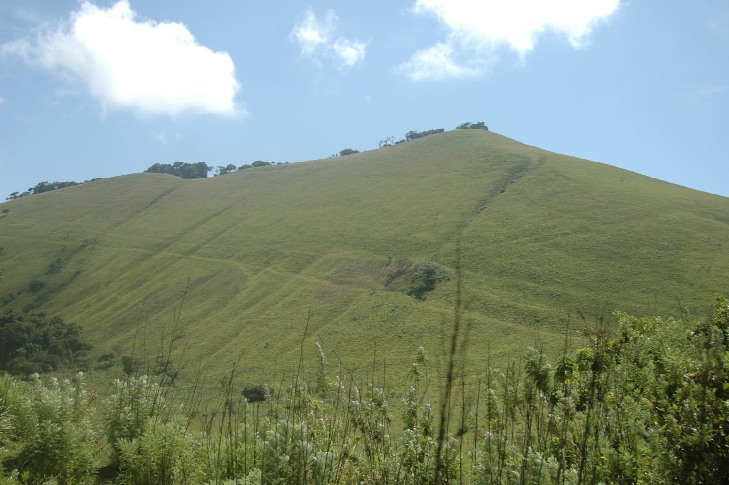 A stunning view of Chyulu Hills National Park, showcasing its diverse landscapes and unique wildlife
