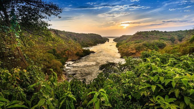 Aerial view of Nile River flowing through Murchison Falls National Park, Uganda