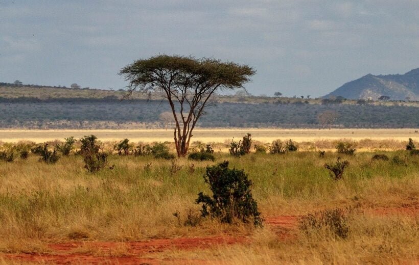 Safari to Tsavo West from Nairobi