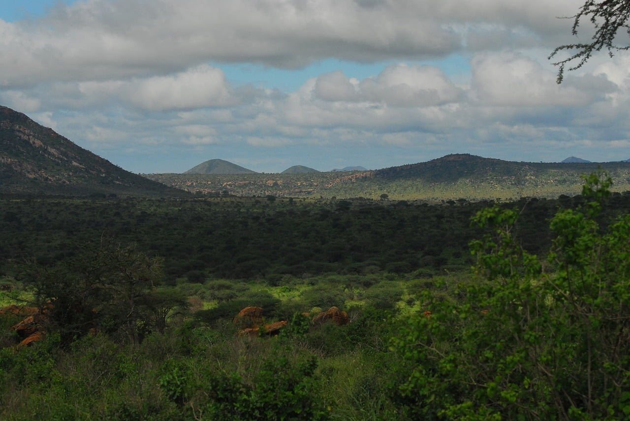 A breathtaking landscape view of Tsavo West National Park with lush greenery and wildlife.