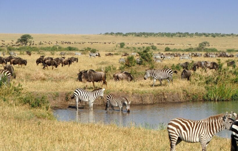 Explore Lake Naivasha, Lake Nakuru & Masai Mara