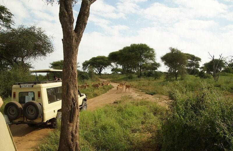 Kenya Big 5 & Rhino Tracking Safari: 8-Day Expedition