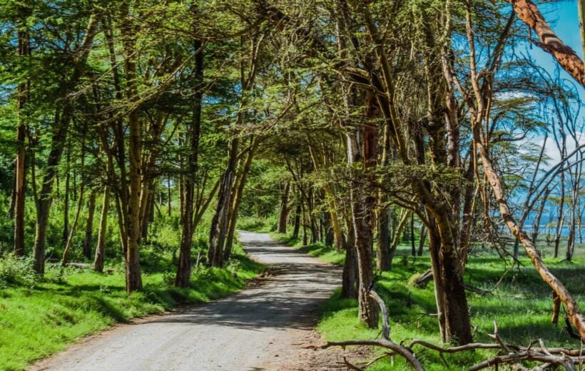 Midrange Kenya and Tanzania Safar