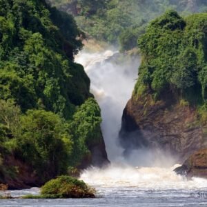 Experience the Essence of Ugandan Nile Safari