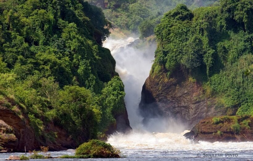 Experience the Essence of Ugandan Nile Safari