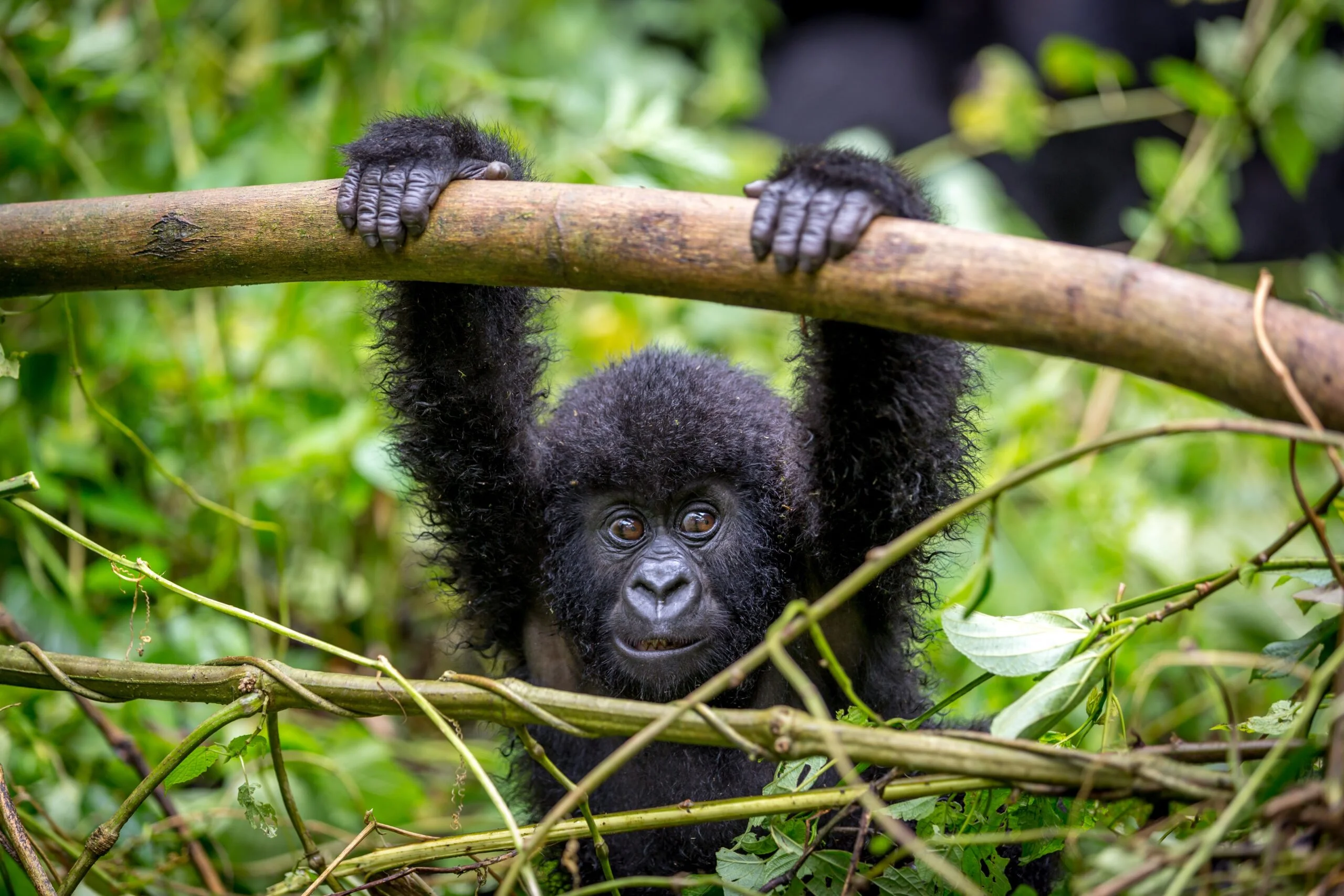 Uganda